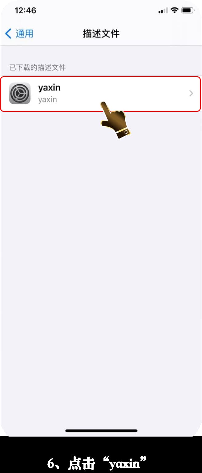 iOS官方TestFlight受信任沙盒战术终端配置指引6